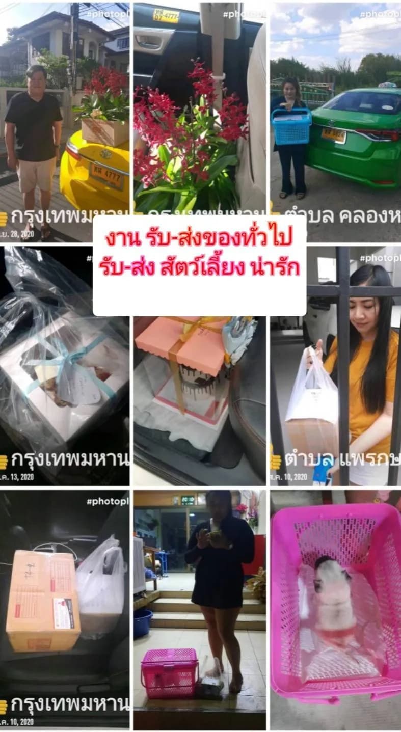 รถกระบะ + รถ 6 ล้อ, 10 ล้อ 3